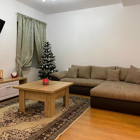 Tampa Hill Residence Брашов Екстериор снимка