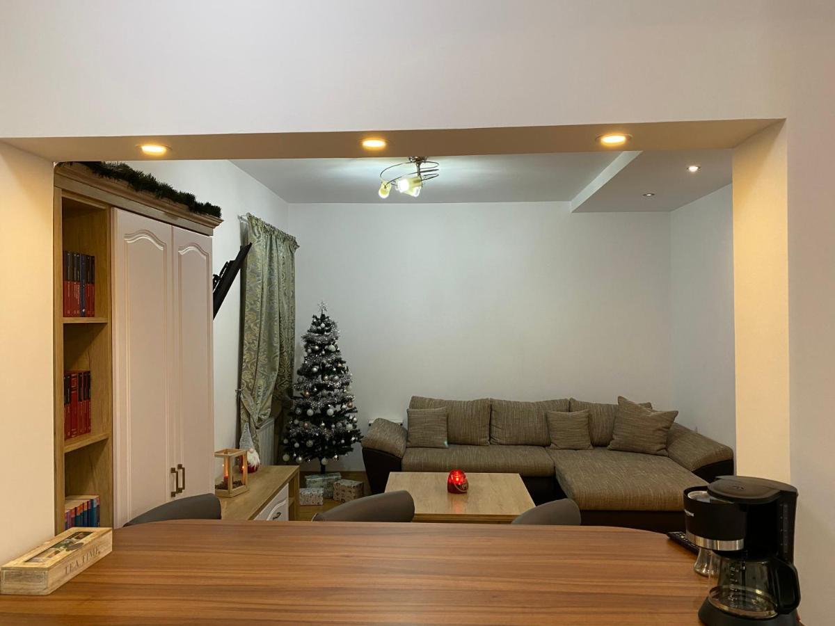 Tampa Hill Residence Брашов Екстериор снимка
