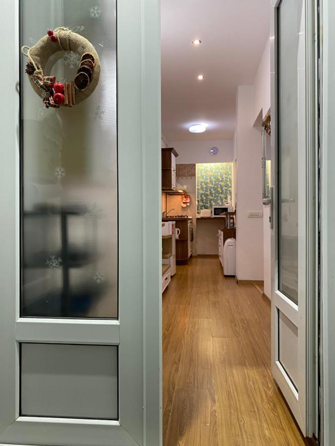 Tampa Hill Residence Брашов Екстериор снимка