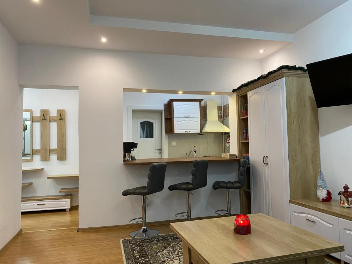Tampa Hill Residence Брашов Екстериор снимка