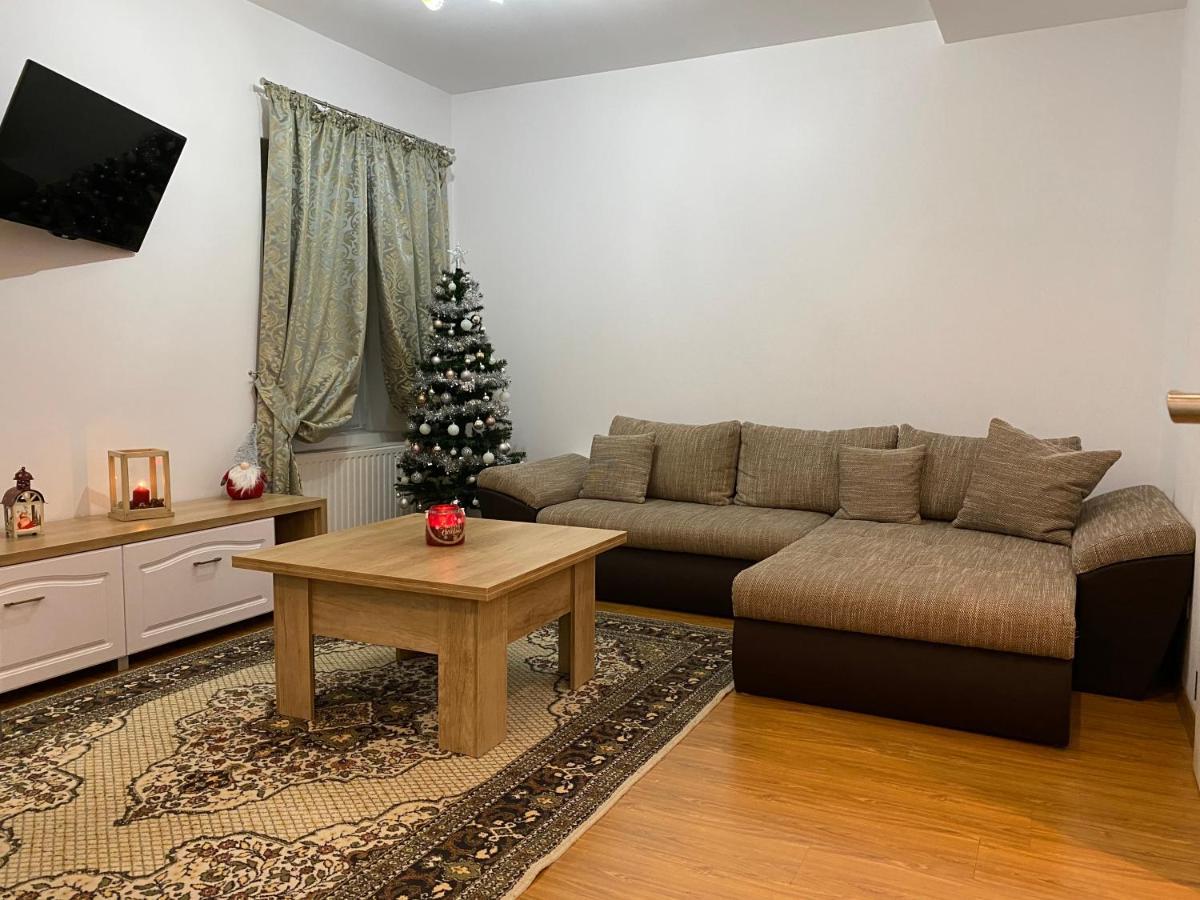 Tampa Hill Residence Брашов Екстериор снимка