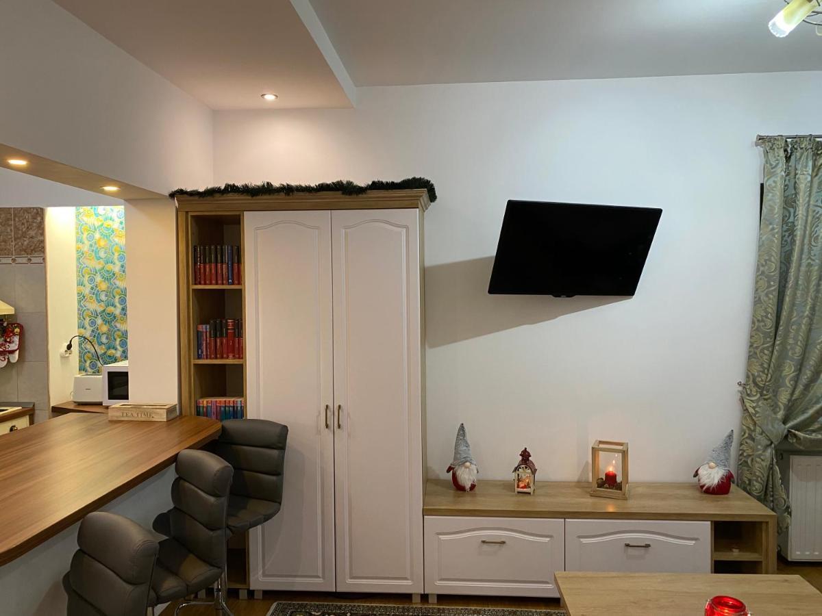 Tampa Hill Residence Брашов Екстериор снимка