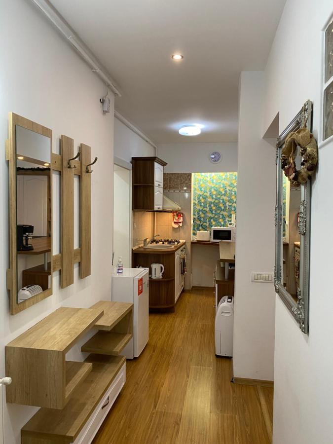 Tampa Hill Residence Брашов Екстериор снимка
