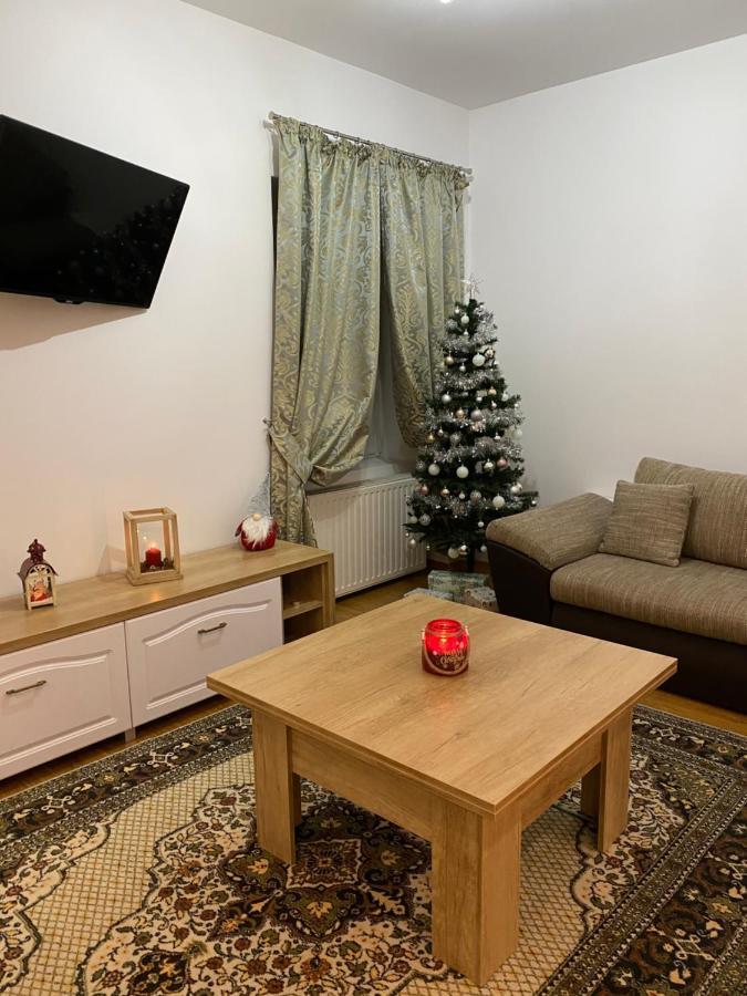 Tampa Hill Residence Брашов Екстериор снимка