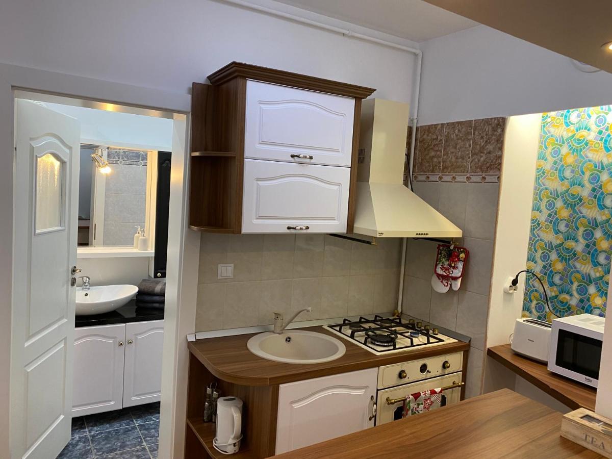 Tampa Hill Residence Брашов Екстериор снимка